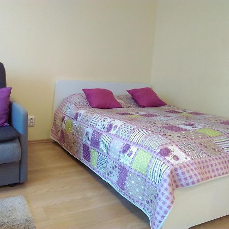 Gina'S Apartment Partizanu G Каунас Экстерьер фото